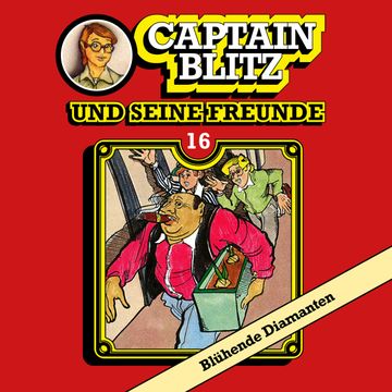 Blühende Diamanten (Captain Blitz und seine Freunde 16) audiobook, Steffen Kent