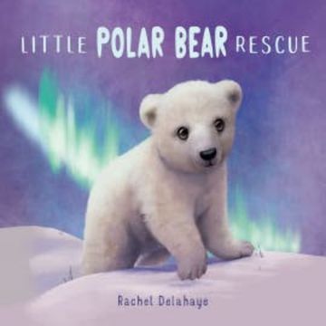 Little Polar Bear Rescue audiobook, Rachel Delahaye