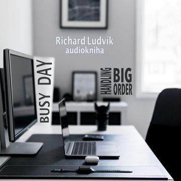 Busy Day - Handling Big Order audiobook, Richard Ludvík