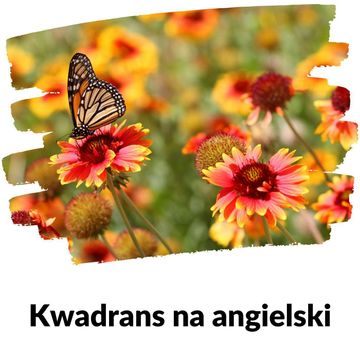 KNA: Lekcja 353 (wiosna) audiobook, Szymon Marciniak