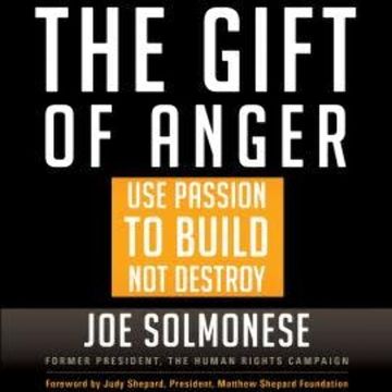 The Gift of Anger - Use Passion to Build Not Destroy (Unabridged) audiobook, Joe Solmonese