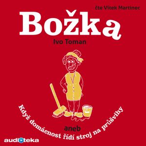 Božka aneb Když domácnost řídí stroj na průšvihy, Ivo Toman