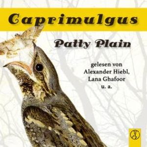 Caprimulgus, Patty Plain