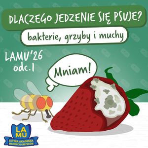 LAMU'26 #1 Dlaczego jedzenie gnije? Czy mucha ma jelita?, Karolina Głowacka