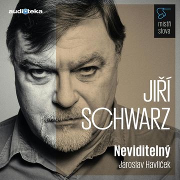 Neviditelný - Mistři slova audiobook, Jaroslav Havlíček