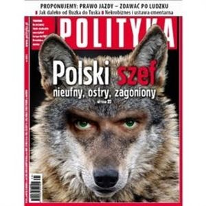 AudioPolityka Nr 38 z 18 września 2013, Polityka