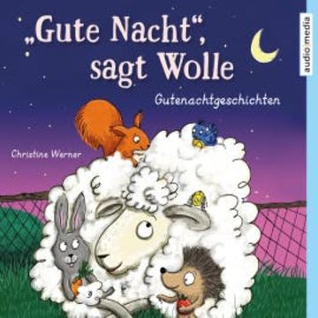 "Gute Nacht", sagt Wolle audiobook, Christine Werner