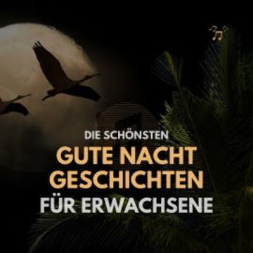 Die schönsten Gute Nacht Geschichten für Erwachsene audiobook, Institut für Stressabbau