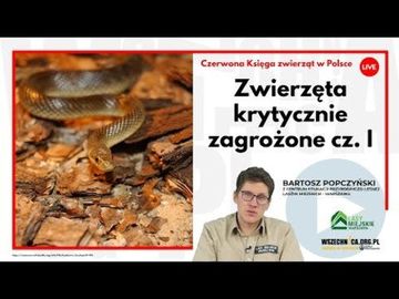 Zwierzęta krytycznie zagrożone cz. I / Bartosz Popczyński audiobook, Wszechnica FWW