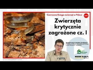 Zwierzęta krytycznie zagrożone cz. I / Bartosz Popczyński, Wszechnica FWW