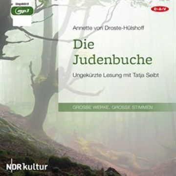Die Judenbuche audiobook, Annette v. Droste-Hülshoff