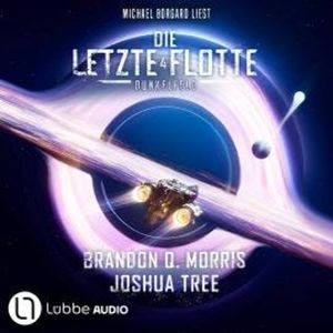 Dunkelfeld - Die Letzte Flotte, Teil 4 (Ungekürzt), Brandon Q. Morris, Joshua Tree