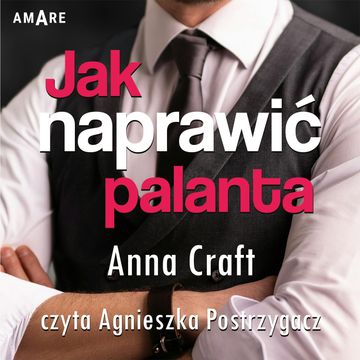 Jak naprawić palanta. Instrukcja w dziesięciu krokach audiobook, Anna Craft