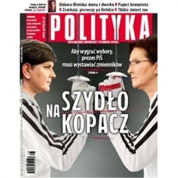 AudioPolityka Nr 26 z 24 czerwca 2015, Polityka