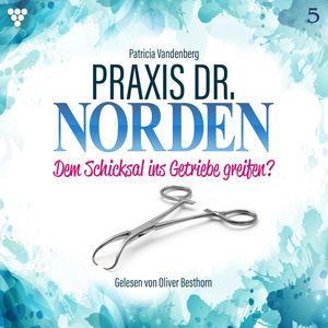 Praxis Dr. Norden 5 - Arztroman, Patricia Vandenberg