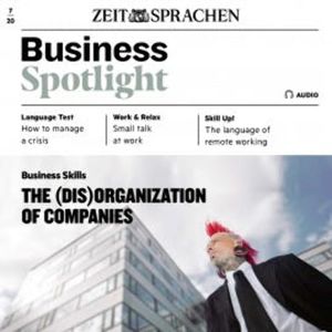 Business-Englisch lernen Audio - The (dis)organization of companies, Ian McMaster