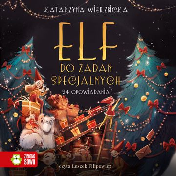 Elf do zadań specjalnych audiobook, Katarzyna Wierzbicka