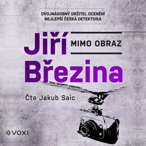 Mimo obraz, Jiří Březina