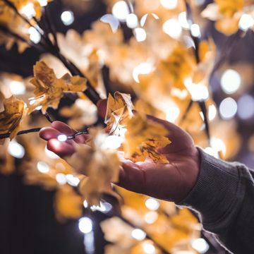 Piąty zmysł (Maciej Topolski) audiobook, Kwartalnik Przekrój