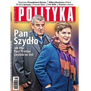AudioPolityka Nr 25 z 15 czerwca 2016, Polityka