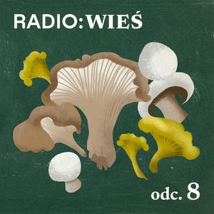 Radio Wieś: Grzybowa republika polska, OKO.press