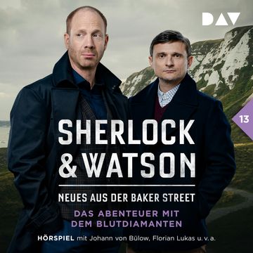 Sherlock & Watson - Neues aus der Baker Street, Band 13: Das Abenteuer mit dem Blutdiamanten audiobook, Viviane Koppelmann