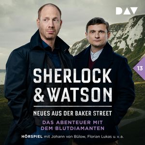 Sherlock & Watson - Neues aus der Baker Street, Band 13: Das Abenteuer mit dem Blutdiamanten, Viviane Koppelmann
