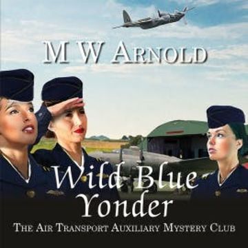 Wild Blue Yonder audiobook, M.W. Arnold