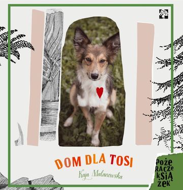 Dom dla Tosi audiobook, Kaja Malanowska