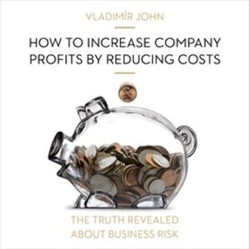 How to increase company profits by reducing costs audiobook, Vladimír John