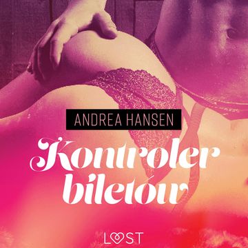 Kontroler biletów. Opowiadanie erotyczne audiobook, Andrea Hansen