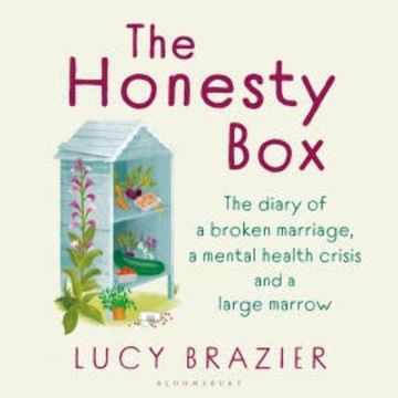 The Honesty Box audiobook, Lucy Brazier