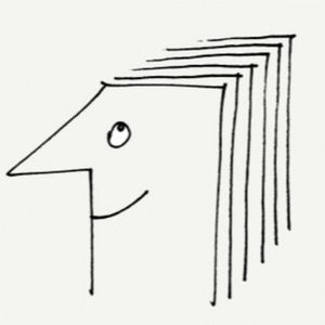 Zaorać kapitalizm (Dominika Bok), Kwartalnik Przekrój