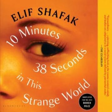 10 Minutes 38 Seconds in This Strange World audiobook, Elif Shafak