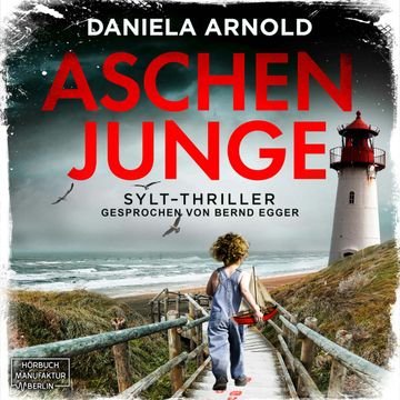 Aschenjunge audiobook, Daniela Arnold