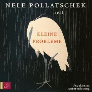 Kleine Probleme (Ungekürzt) audiobook, Nele Pollatschek