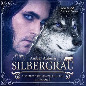 Silbergrau, Episode 9 - Fantasy-Serie audiobook, Amber Auburn