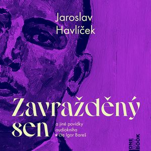 Zavražděný sen a jiné povídky, Jaroslav Havlíček