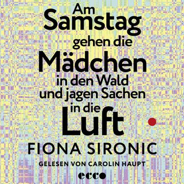 Am Samstag gehen die Mädchen in den Wald und jagen Sachen in die Luft audiobook, Fiona Sironic