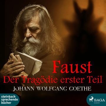 Faust - Der Tragödie erster Teil audiobook, Johann Wolfgang von Goethe