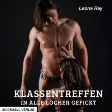 Klassentreffen-in alle Löcher gefickt (ungekürzt) audiobook, Leona Ray