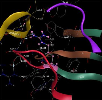 Lékaři přijmou AI, když jim usnadní práci, ale odpovědnost za diagnózu bude v lidských rukou audiobook, Andrea Procházková, Erik Tabery