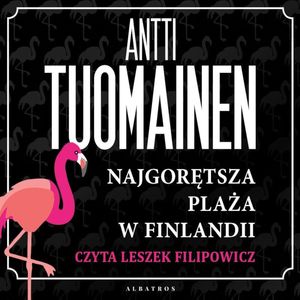 Najgorętsza plaża w Finlandii, Antti Tuomainen