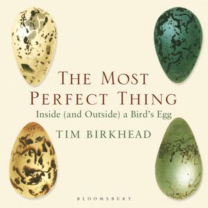The Most Perfect Thing, Tim Birkhead