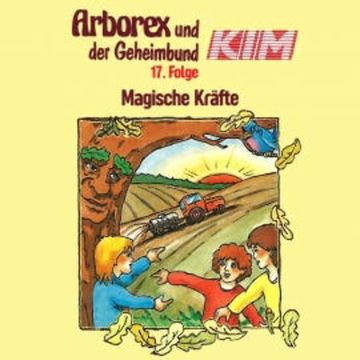 17: Magische Kräfte audiobook, Erika Immen