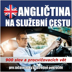 Angličtina na služební cestu, Audioacademyeu