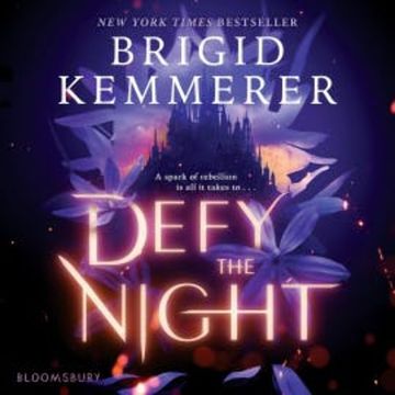 Defy the Night audiobook, Brigid Kemmerer