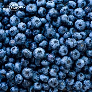 Dlaczego Tajowie nie mogą pracować przy zbieraniu jagód w Szwecji? | Komentarz w Podróży, Mateusz Grzeszczuk