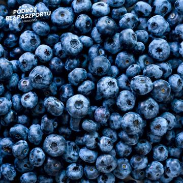 Dlaczego Tajowie nie mogą pracować przy zbieraniu jagód w Szwecji? | Komentarz w Podróży audiobook, Mateusz Grzeszczuk