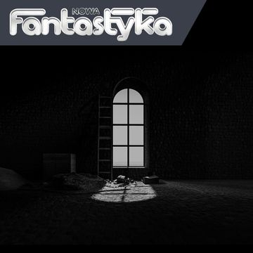 Nowa Audio Fantastyka. Odcinek 233. PRZESTRZENIE OGROMNEJ NOCY - Świat grozy Brunona Schulza audiobook, Wojciech Gunia